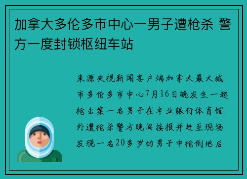 加拿大多伦多市中心一男子遭枪杀 警方一度封锁枢纽车站